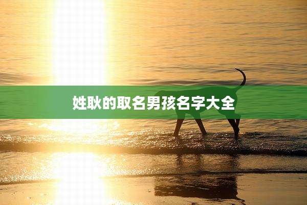 姓耿的取名男孩名字大全