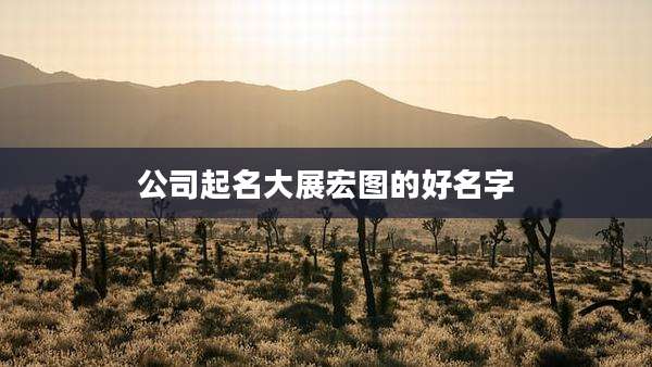 公司起名大展宏图的好名字