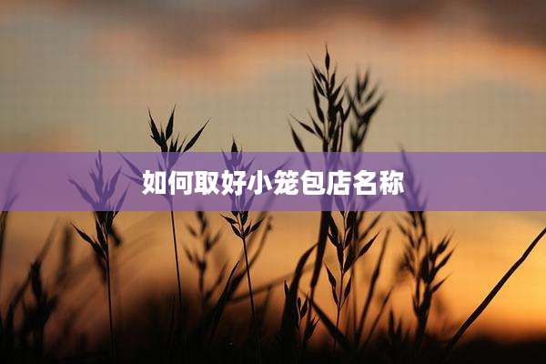 如何取好小笼包店名称