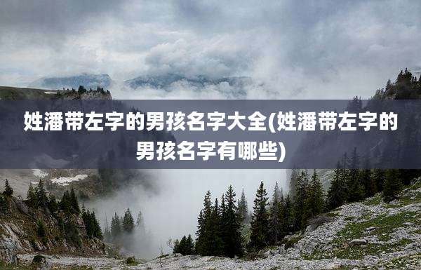 姓潘带左字的男孩名字大全(姓潘带左字的男孩名字有哪些)