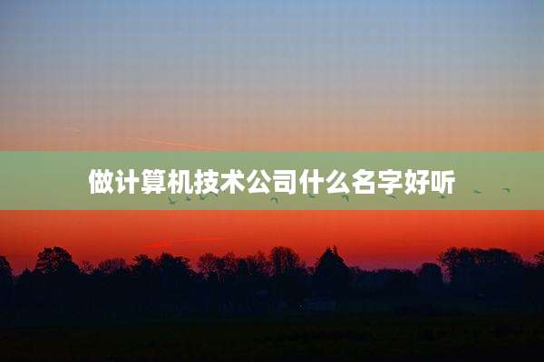 做计算机技术公司什么名字好听