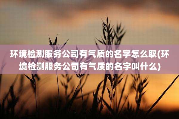 环境检测服务公司有气质的名字怎么取(环境检测服务公司有气质的名字叫什么)