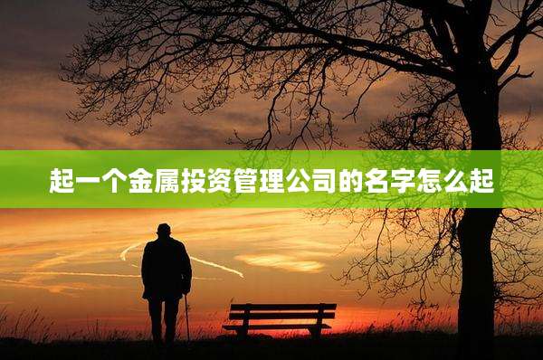 起一个金属投资管理公司的名字怎么起