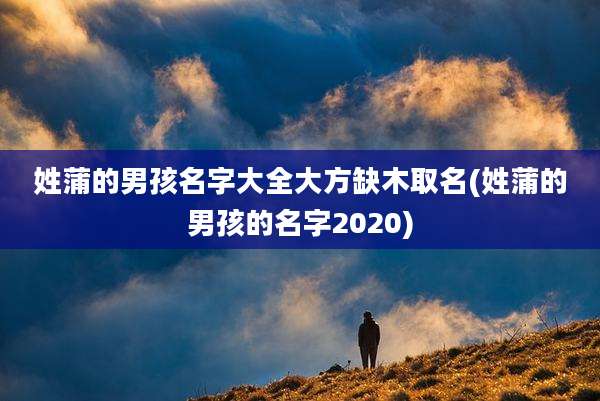 姓蒲的男孩名字大全大方缺木取名(姓蒲的男孩的名字2020)
