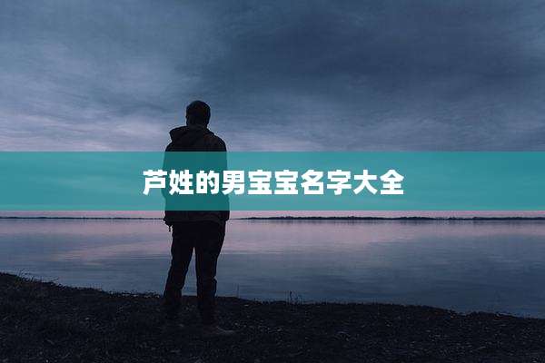 芦姓的男宝宝名字大全