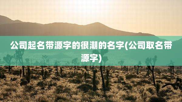 公司起名带源字的很潮的名字(公司取名带源字)