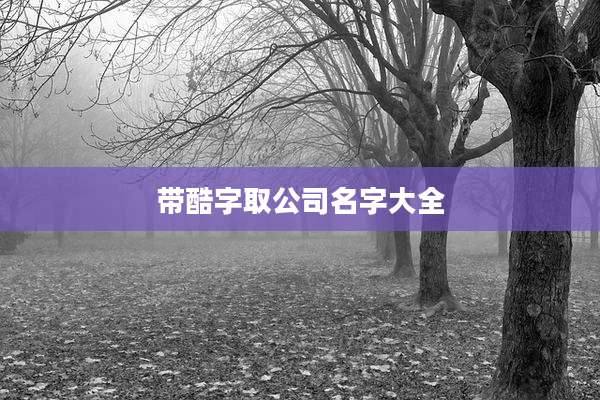 带酷字取公司名字大全