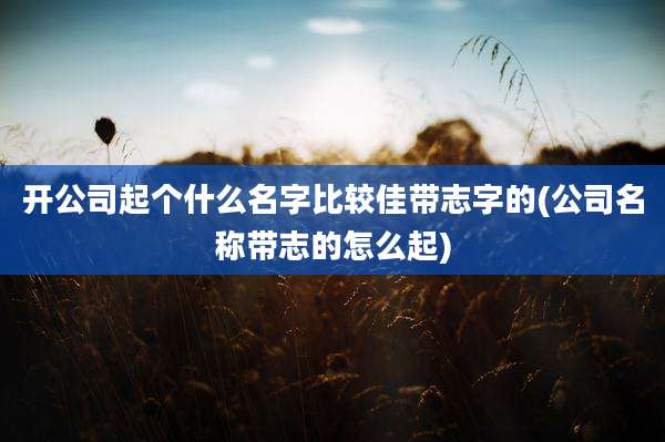 开公司起个什么名字比较佳带志字的(公司名称带志的怎么起)