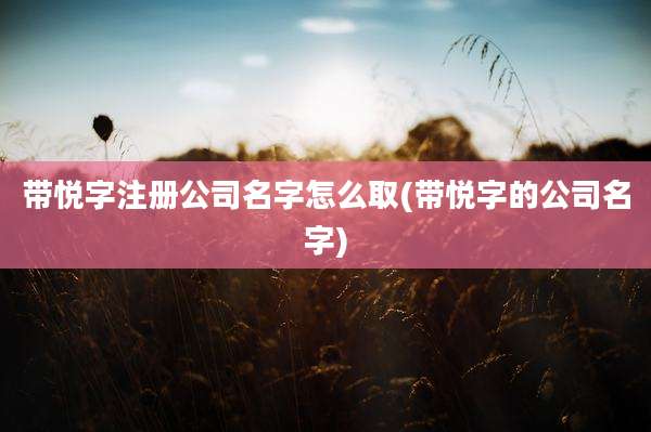 带悦字注册公司名字怎么取(带悦字的公司名字)