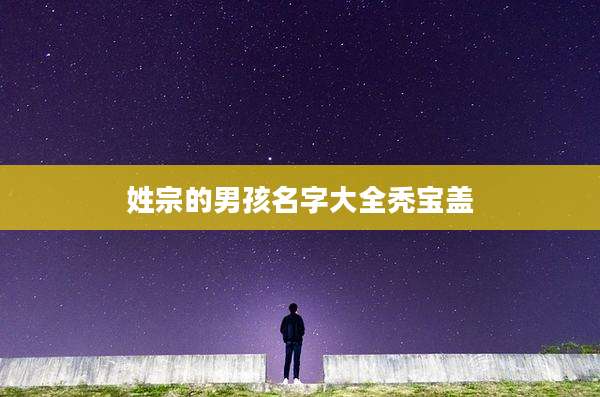 姓宗的男孩名字大全秃宝盖