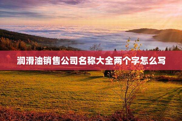 润滑油销售公司名称大全两个字怎么写
