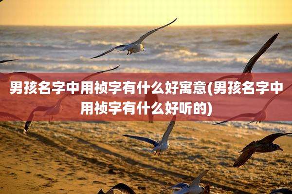 男孩名字中用祯字有什么好寓意(男孩名字中用祯字有什么好听的)