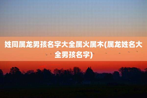 姓同属龙男孩名字大全属火属木(属龙姓名大全男孩名字)