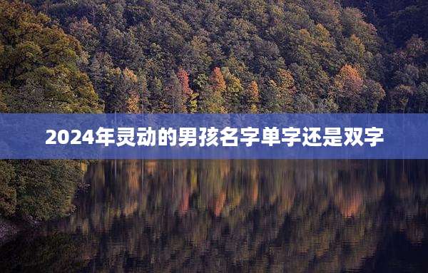 2024年灵动的男孩名字单字还是双字