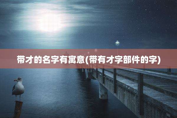带才的名字有寓意(带有才字部件的字)