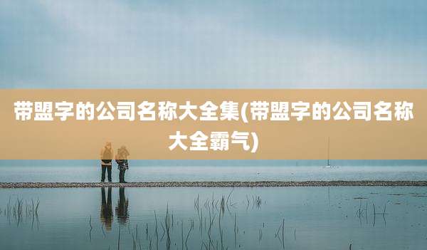 带盟字的公司名称大全集(带盟字的公司名称大全霸气)