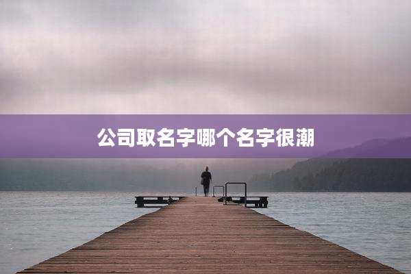公司取名字哪个名字很潮