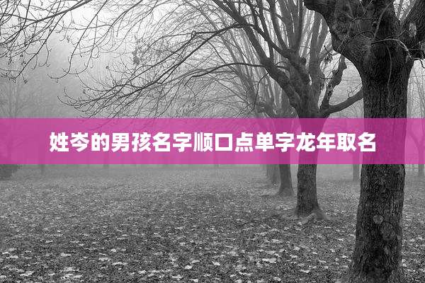 姓岑的男孩名字顺口点单字龙年取名