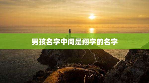 男孩名字中间是翔字的名字