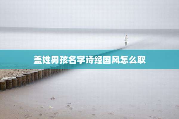 盖姓男孩名字诗经国风怎么取
