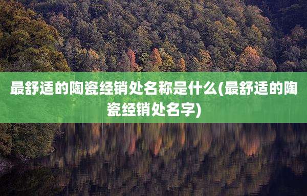最舒适的陶瓷经销处名称是什么(最舒适的陶瓷经销处名字)