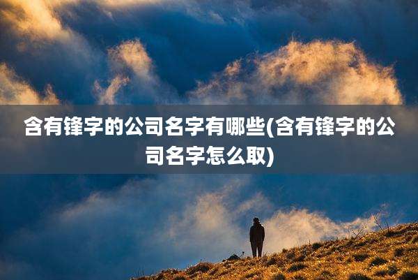 含有锋字的公司名字有哪些(含有锋字的公司名字怎么取)
