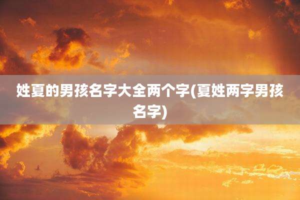 姓夏的男孩名字大全两个字(夏姓两字男孩名字)