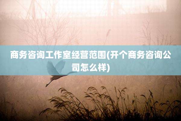 商务咨询工作室经营范围(开个商务咨询公司怎么样)