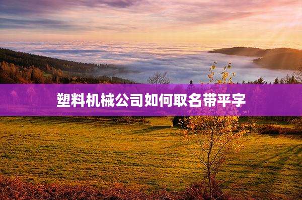 塑料机械公司如何取名带平字