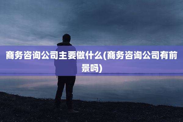 商务咨询公司主要做什么(商务咨询公司有前景吗)