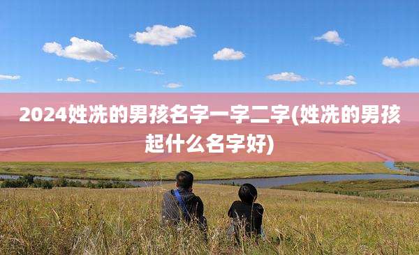 2024姓冼的男孩名字一字二字(姓冼的男孩起什么名字好)