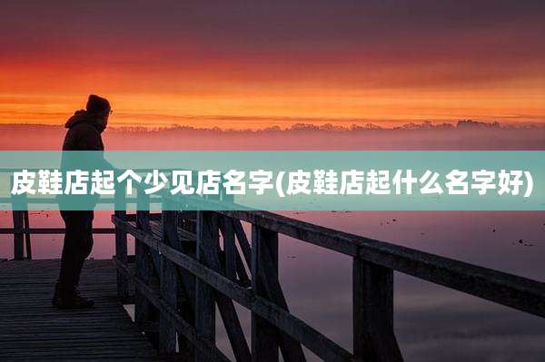 皮鞋店起个少见店名字(皮鞋店起什么名字好)