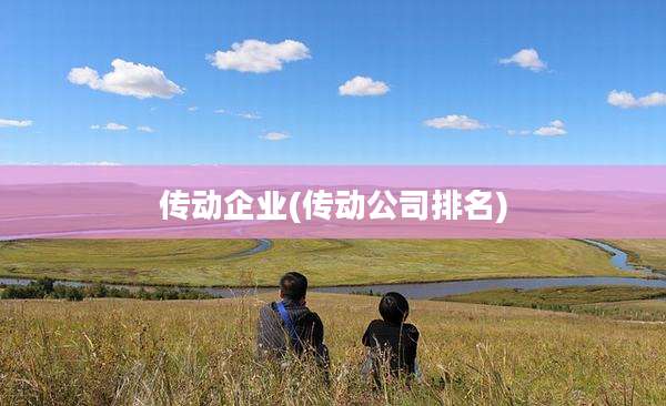 传动企业(传动公司排名)