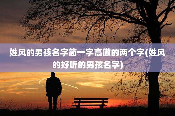 姓风的男孩名字简一字高傲的两个字(姓风的好听的男孩名字)