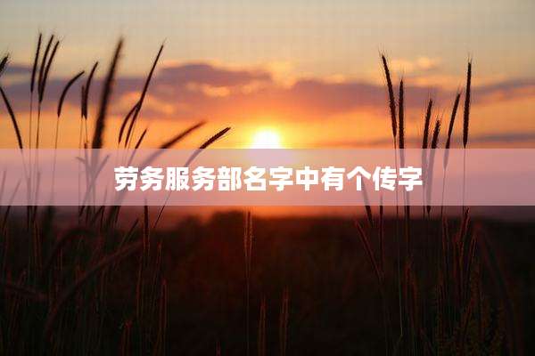 劳务服务部名字中有个传字