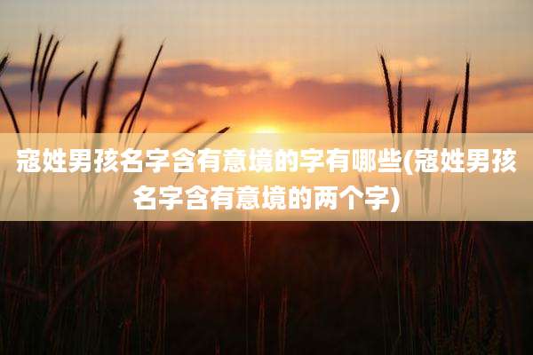 寇姓男孩名字含有意境的字有哪些(寇姓男孩名字含有意境的两个字)