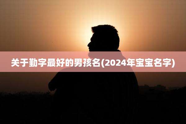 关于勤字最好的男孩名(2024年宝宝名字)