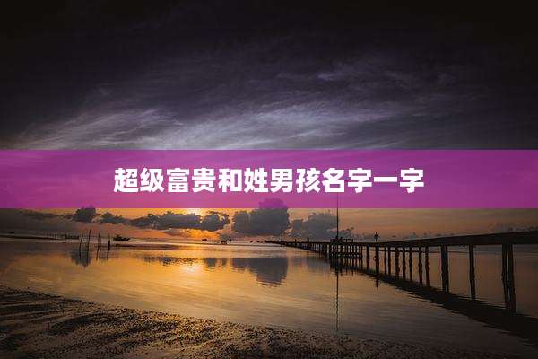 超级富贵和姓男孩名字一字
