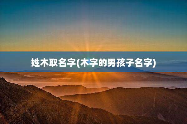 姓木取名字(木字的男孩子名字)