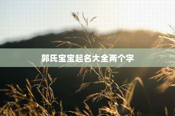 郭氏宝宝起名大全两个字