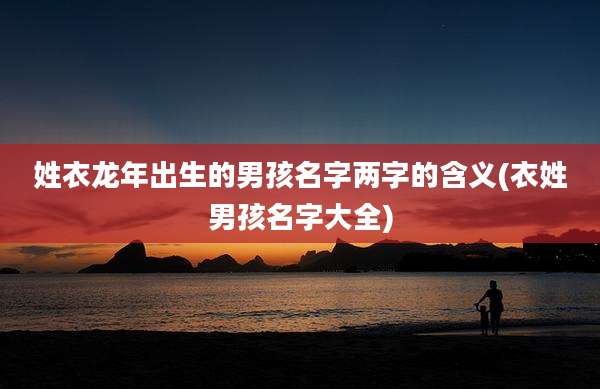 姓衣龙年出生的男孩名字两字的含义(衣姓男孩名字大全)