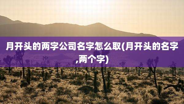 月开头的两字公司名字怎么取(月开头的名字,两个字)
