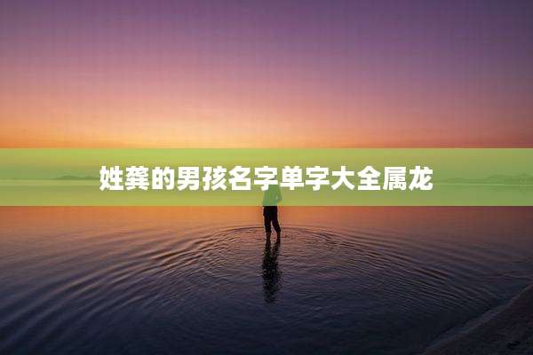 姓龚的男孩名字单字大全属龙