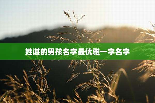 姓谌的男孩名字最优雅一字名字