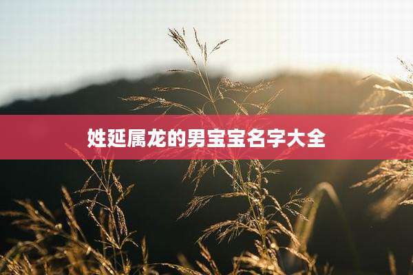 姓延属龙的男宝宝名字大全