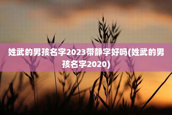 姓武的男孩名字2023带静字好吗(姓武的男孩名字2020)