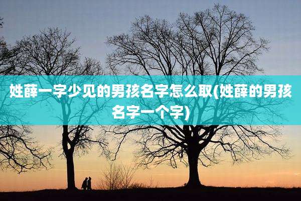 姓薛一字少见的男孩名字怎么取(姓薛的男孩名字一个字)