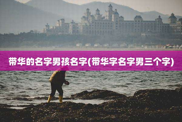 带华的名字男孩名字(带华字名字男三个字)