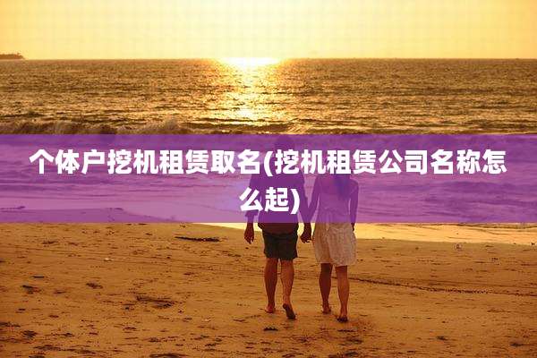 个体户挖机租赁取名(挖机租赁公司名称怎么起)