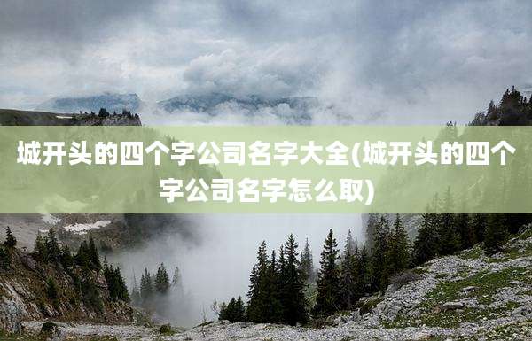 城开头的四个字公司名字大全(城开头的四个字公司名字怎么取)